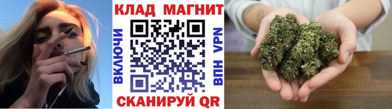 Купить наркотики Снежногорск ЭКСТАЗИ  Гашиш  МАРИХУАНА  COCAIN  Галлюциногенные грибы 